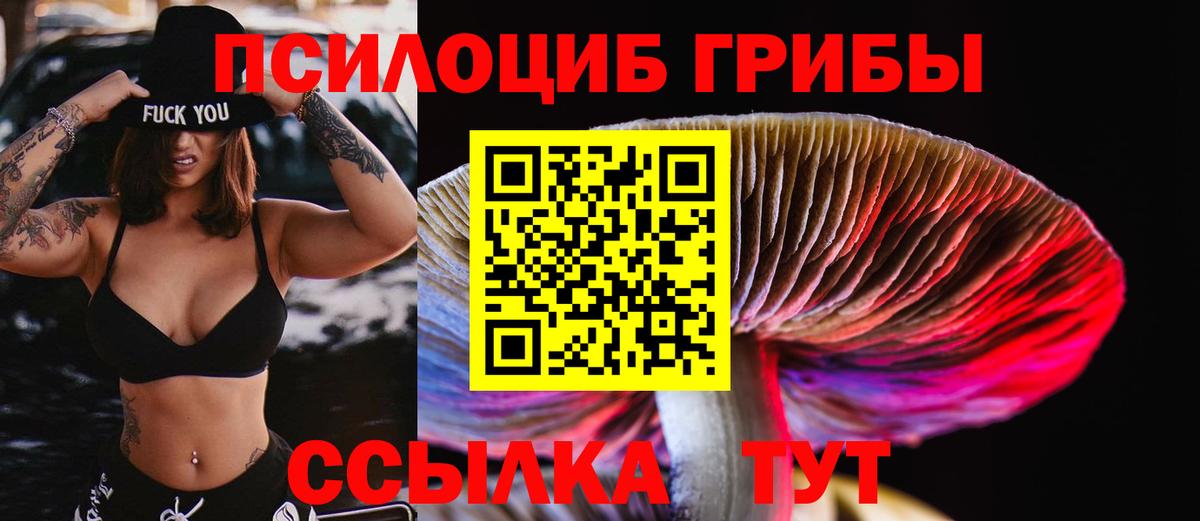 Псилоцибиновые грибы MAGIC MUSHROOMS Ликино-Дулёво